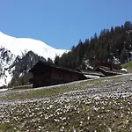 Giatla Hof Der Alfenalm - Am Berg شقة *