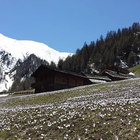 Alfenalm - Am Berg - Giatla Haus Apartment *