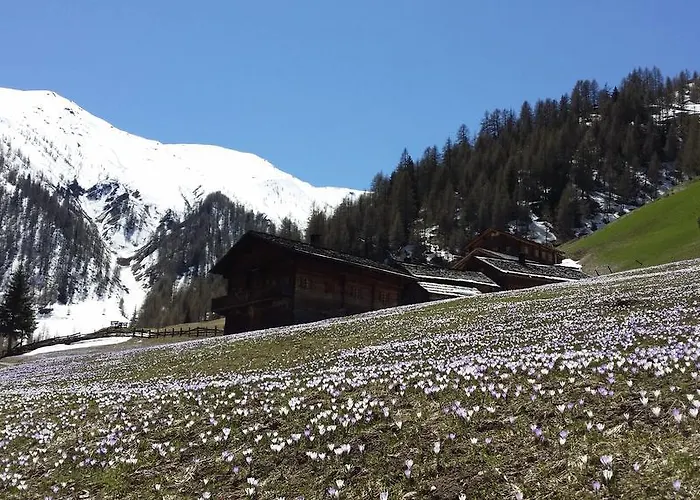 Giatla Hof Der Alfenalm - Am Berg Apartmán *