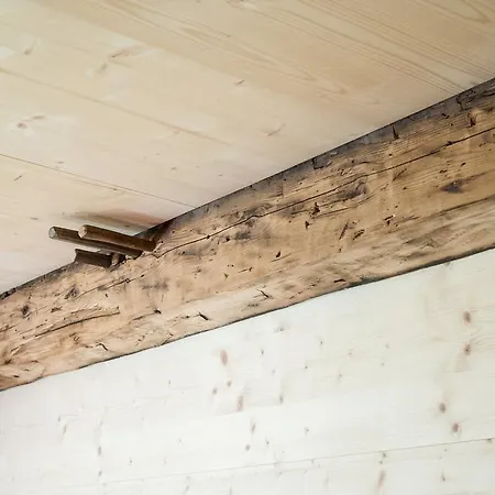 شقة Giatla Hof Der Alfenalm - Am Berg